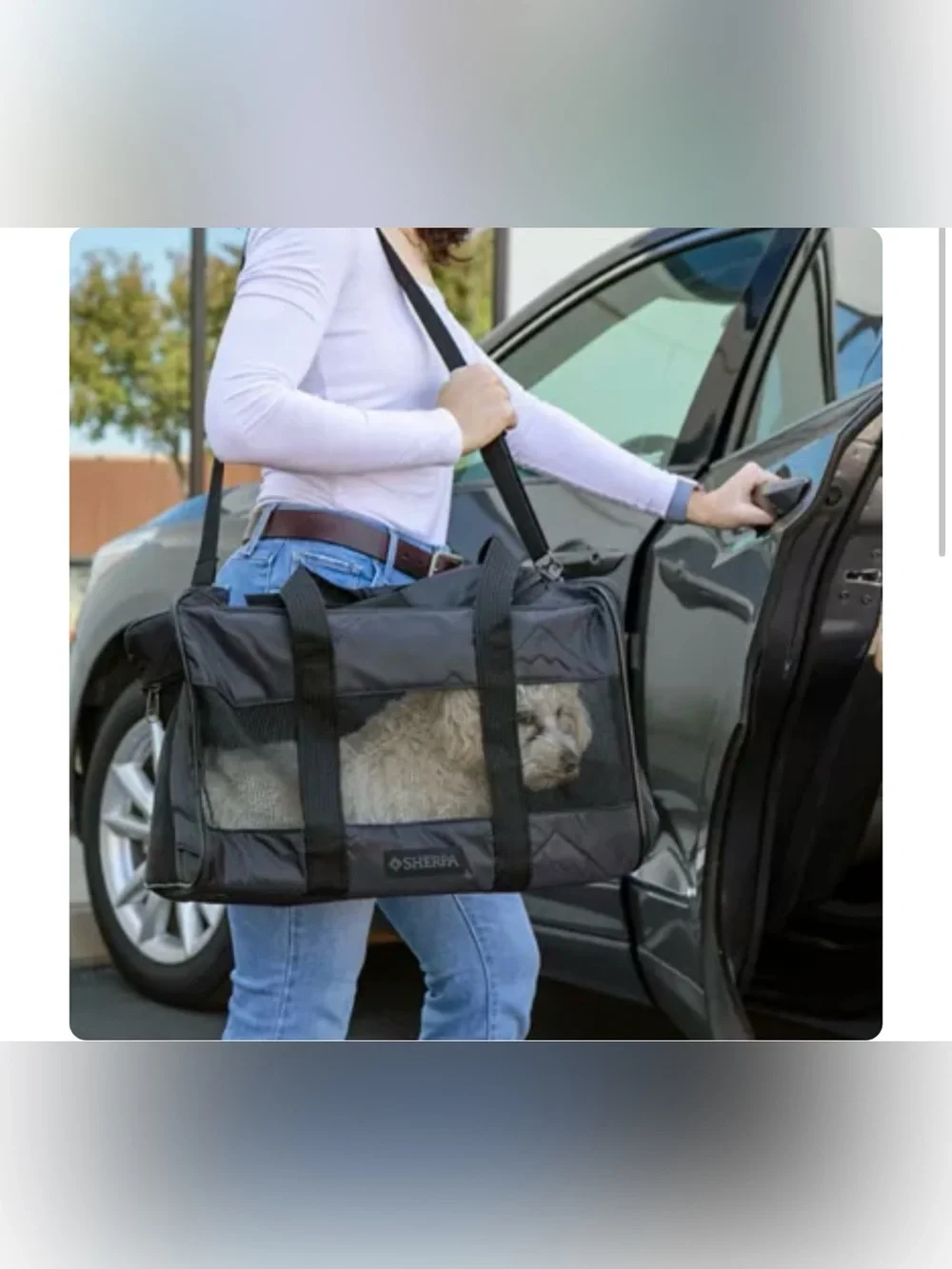 Sherpa Deluxe Guaranteed On Board Soft Sided Dog & Cat Carrier - Soft Travel